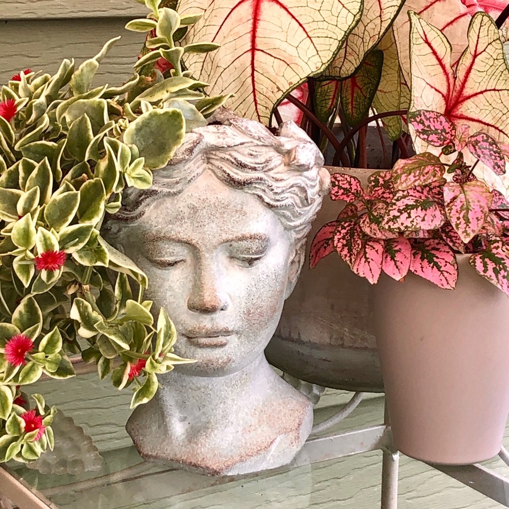 Meet your Posher, Lynn - Picture 14 of 14